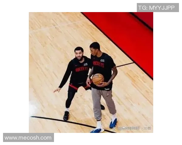 数据分析：上海篮球队的配合表现